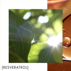 Biotherm Crème De Nuit Revitalisante - Blue Therapy 50 Ml 11 Biotherm Crème De Nuit Revitalisante - Blue Therapy 50 Ml -Dermalogica Soldes Boutique blue therapy creme de nuit revitalisante 50 ml 3359224 4 1140x1140