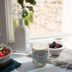 Bougie Naturelle Parfumée Baies Exquises -Dermalogica Soldes Boutique bougie naturelle parfumee baies exquises 3178756 3 1140x1140