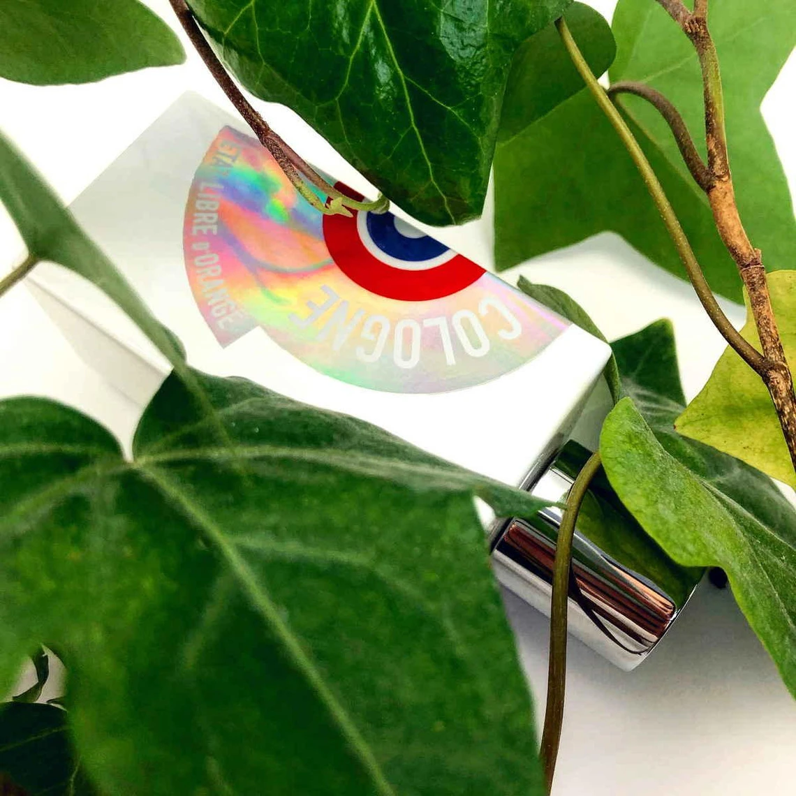 Cologne - Eau De Parfum 8 Cologne - Eau De Parfum – Image 6