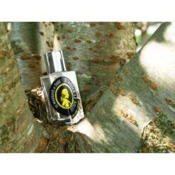 Attaquer Le Soleil - Eau De Parfum -Dermalogica Soldes Boutique eau de parfum attaquer le soleil 3308630 4 1140x1140