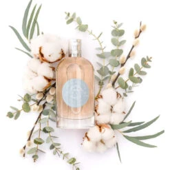 Eau De Toilette Coton Musc 100 Ml -Dermalogica Soldes Boutique eau de toilette coton musc 3178410 3 1140x1140