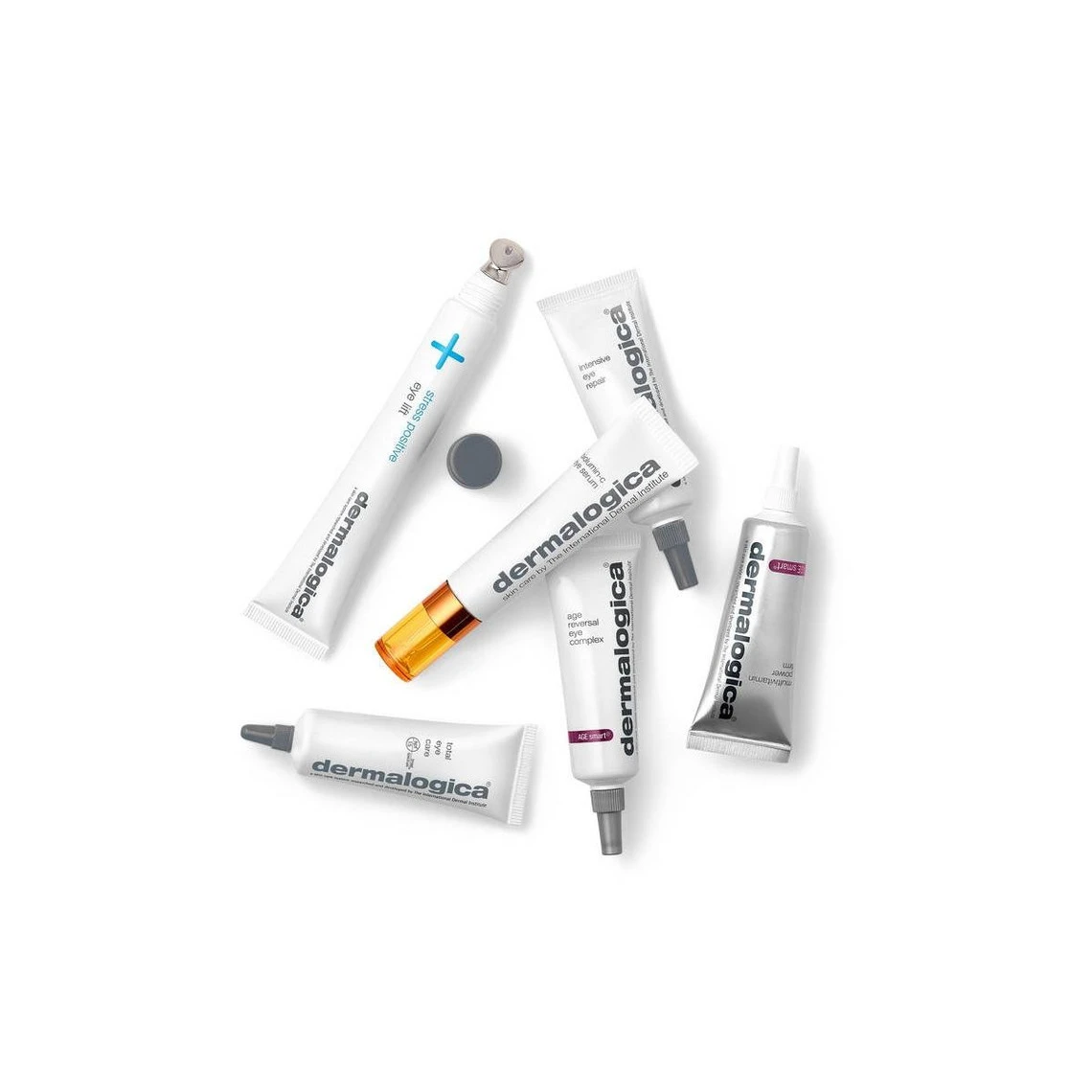 Dermalogica Multivitamin Power Serum - Sérum Puissant Multivitaminé Anti-âge 22 Ml 5 Dermalogica Multivitamin Power Serum - Sérum Puissant Multivitaminé Anti-âge 22 Ml – Image 3