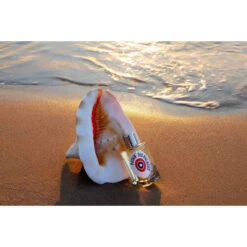 Putain Des Palaces - Eau De Parfum -Dermalogica Soldes Boutique putain des palaces eau de parfum 58853 6 1140x1140