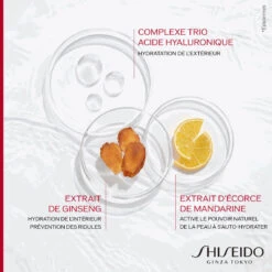 Shiseido Essential Energy - Recharge Crème Activatrice D'Hydratation 24H 50 Ml -Dermalogica Soldes Boutique recharge creme activatrice dhydratation 24h 3381972 3 1140x1140