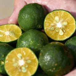 Shiseido Waso - Soin Correcteur Teint Non Gras SPF 30 50 Ml -Dermalogica Soldes Boutique soin correcteur teint non gras spf 30 3269212 5 1140x1140